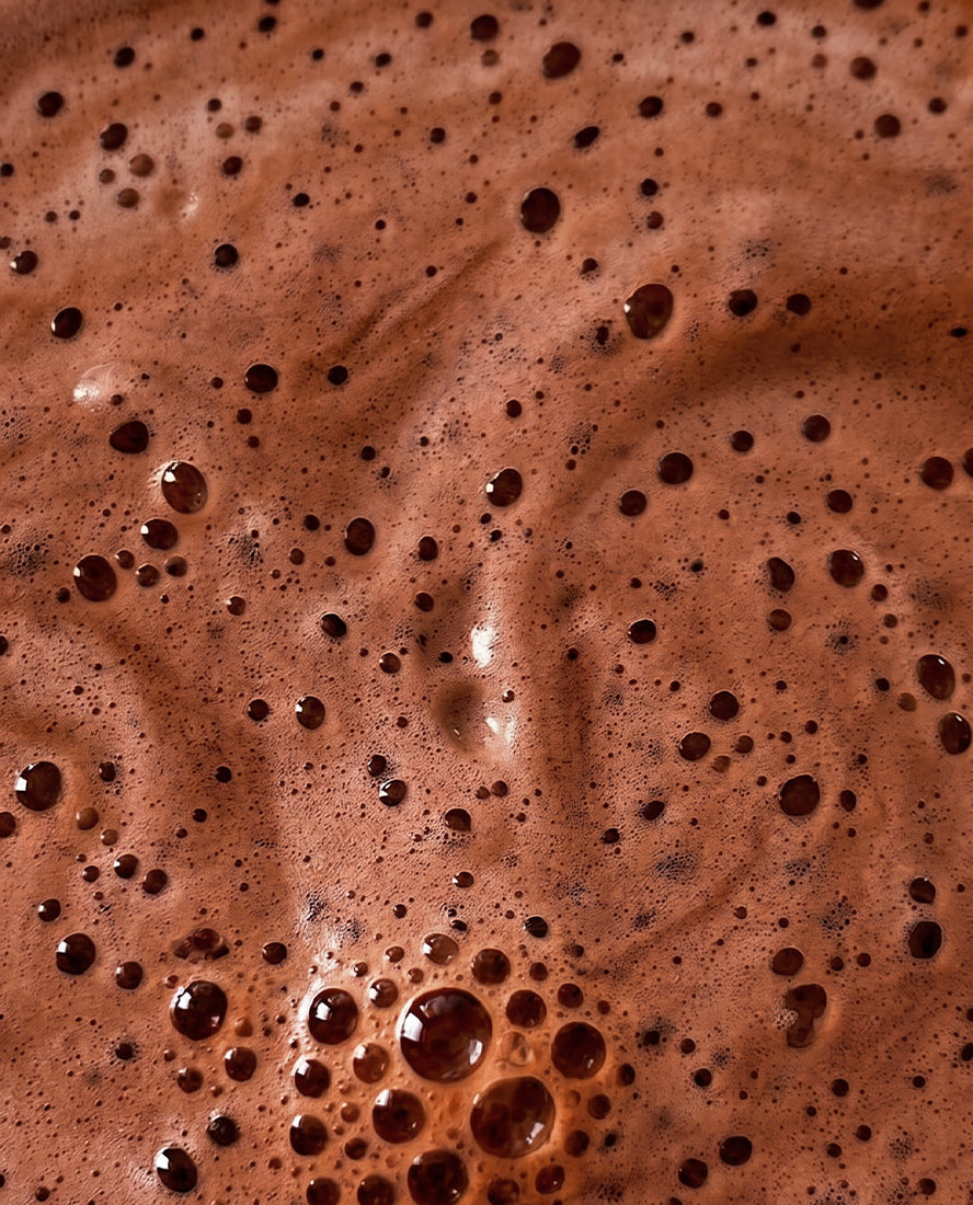 Cacao en poudre - macro